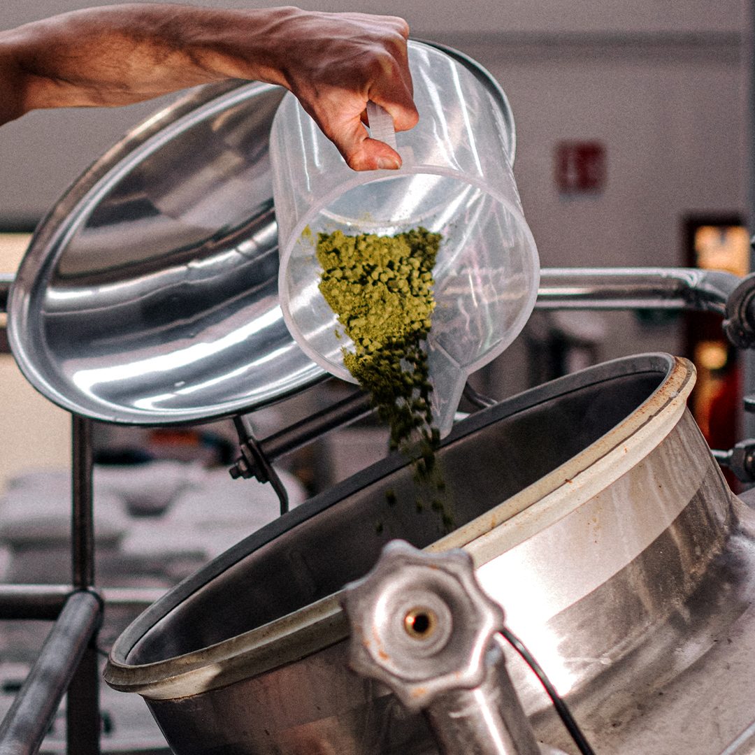 Fase di produzione della birra nel birrificio Otus, aggiunta del luppolo